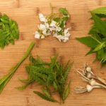 Online foraging tutorials